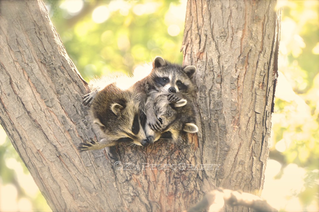 DSC_0950 ocean air sharpen