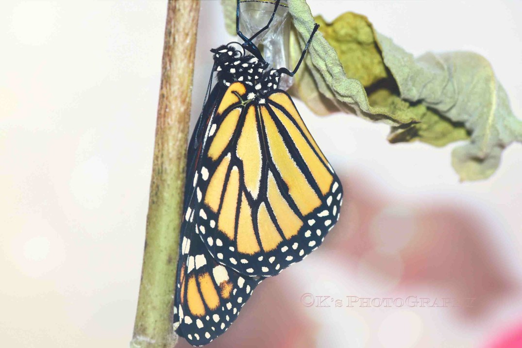 Little Thoughts For Big Days