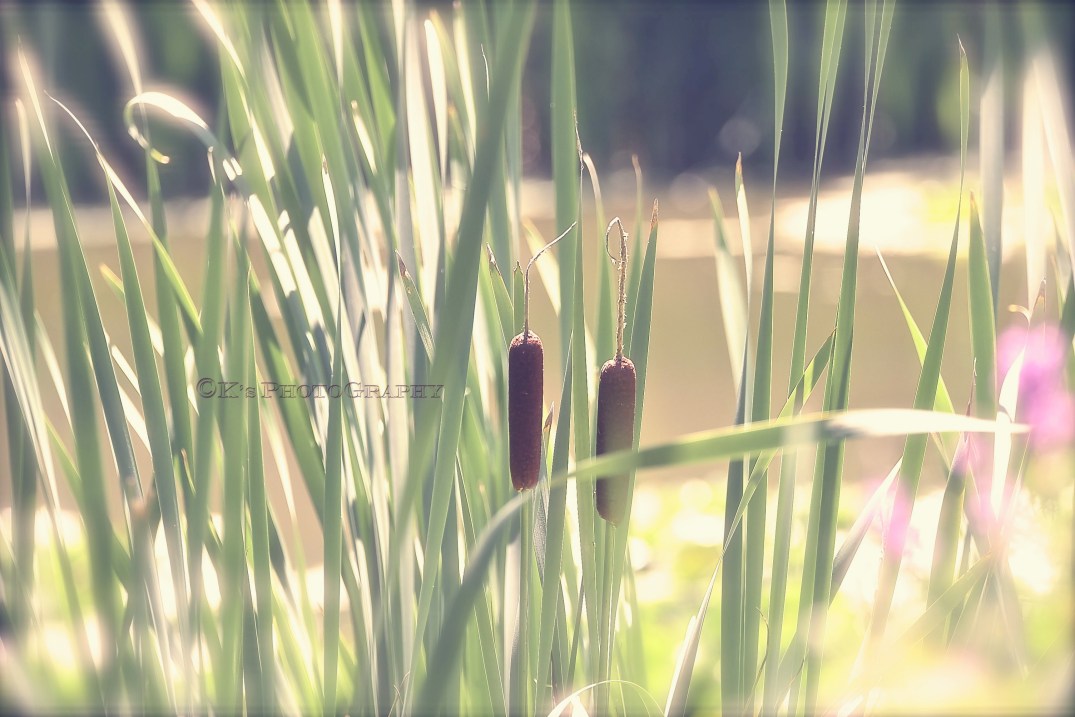 Little Thoughts For Big Days