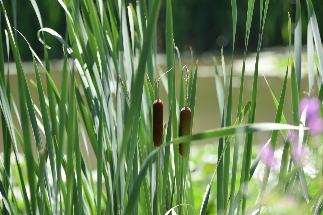 Little Thoughts For Big Days