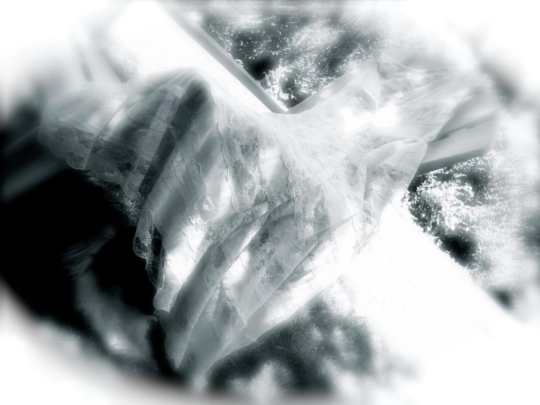 280791_10150737273850637_5169099_o