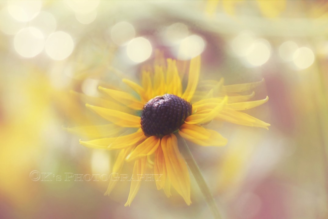 He's got your today, your tomorrow and your next week, all planned.  Just trust Him <3