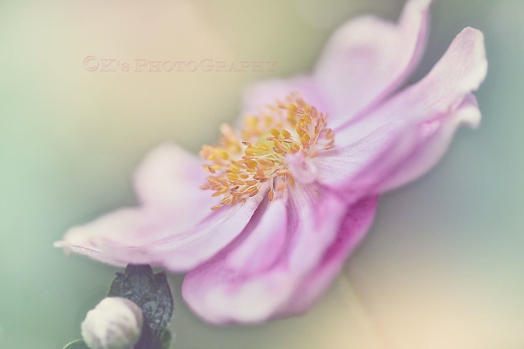 Little Thoughts For Big Days