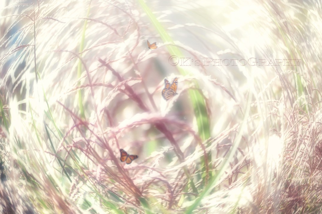 Little Thoughts For Big Days