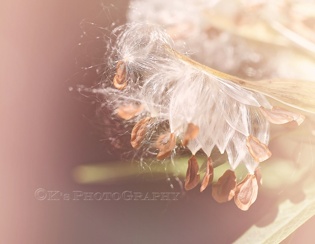 Little Thoughts For Big Days