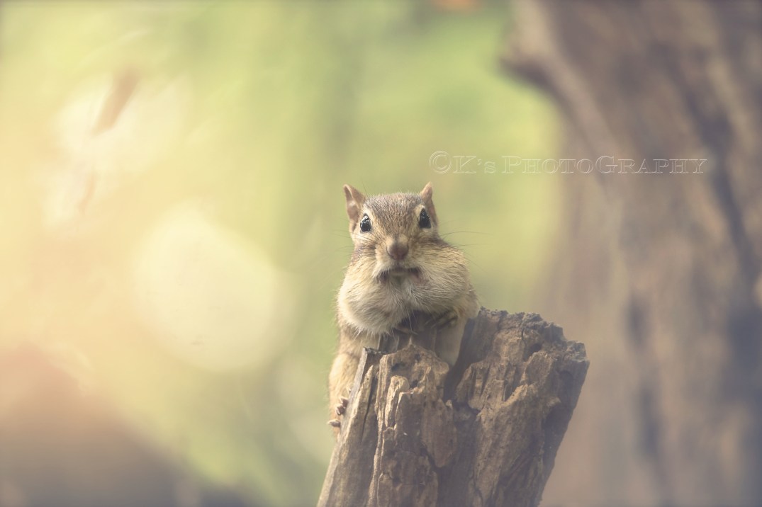 Little Thoughts For Big Days