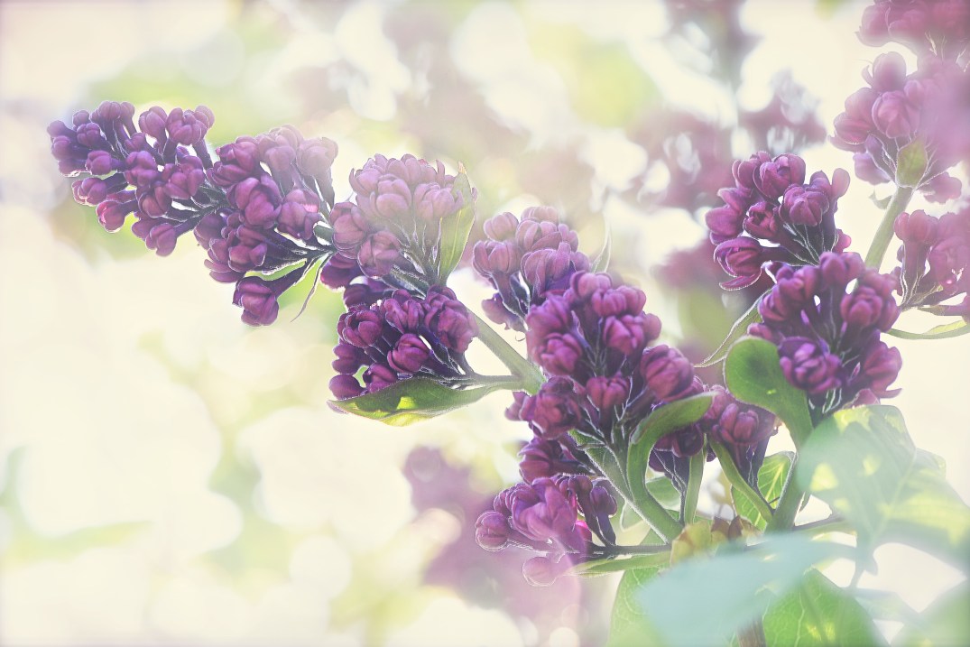 Little Thoughts For Big Days