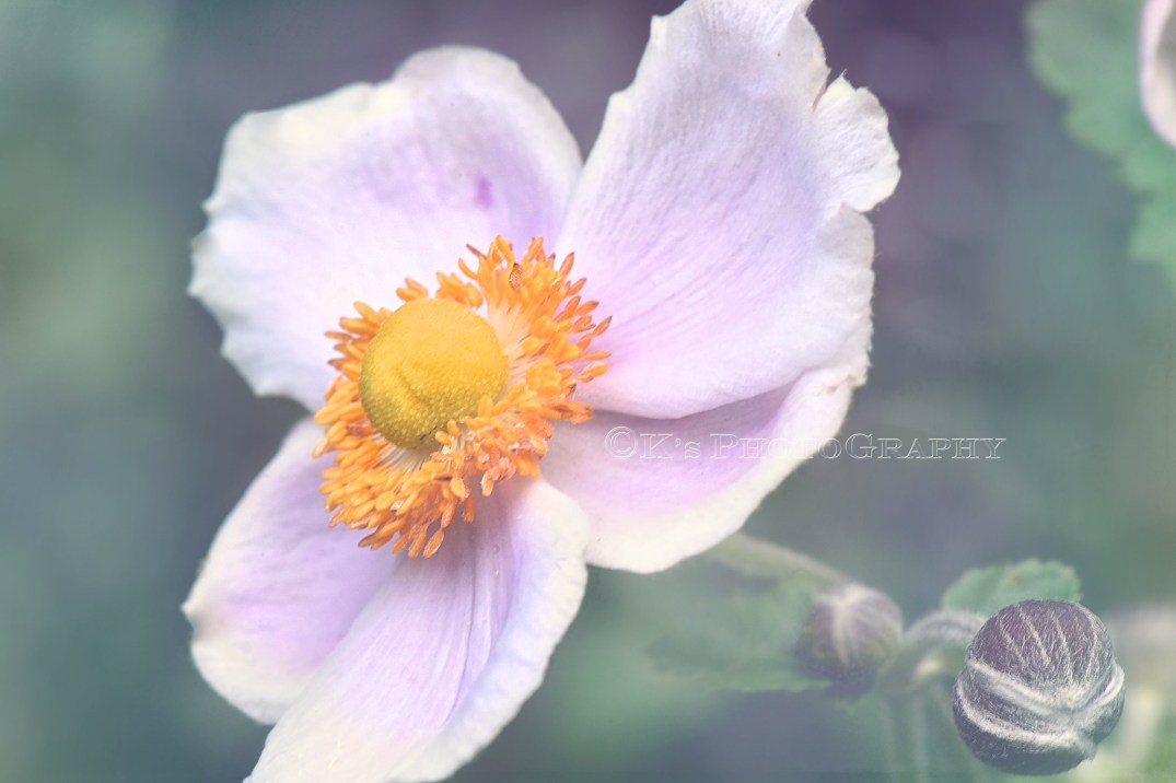 Little Thoughts For Big Days