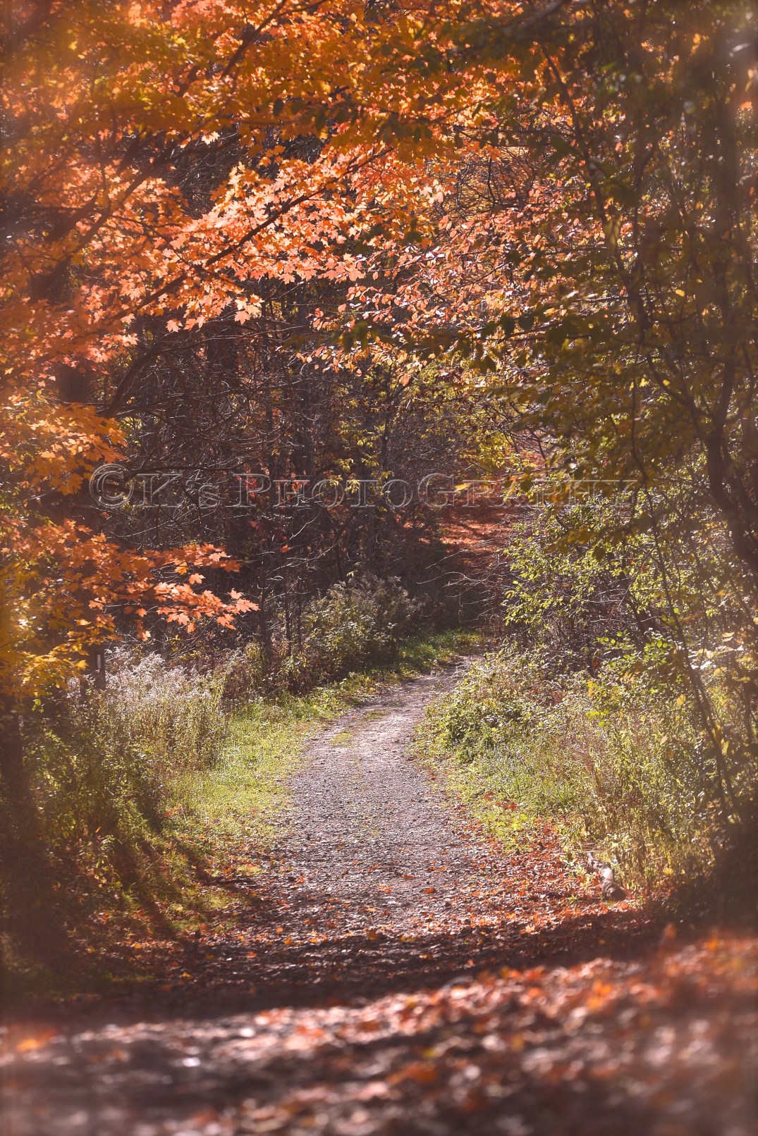 Little Thoughts For Big Days