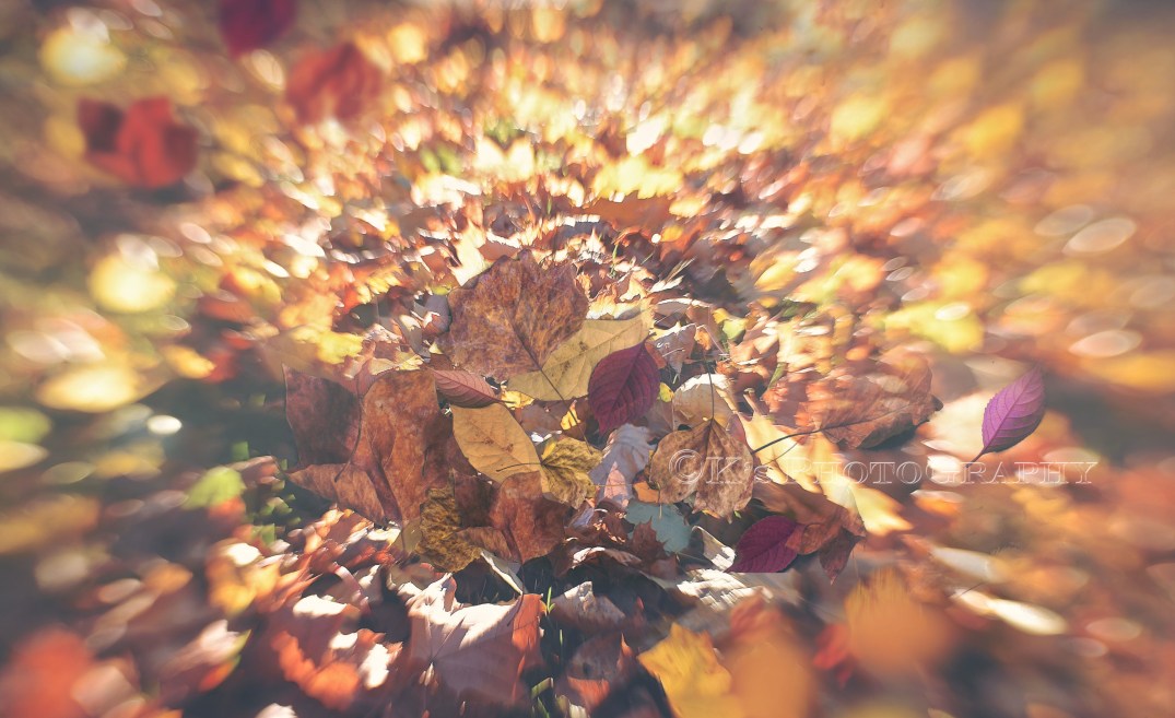 Little Thoughts For Big Days