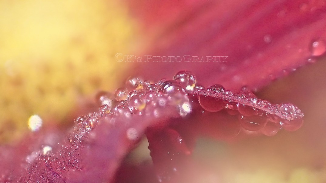 Look For The Beauty In The Dark <3