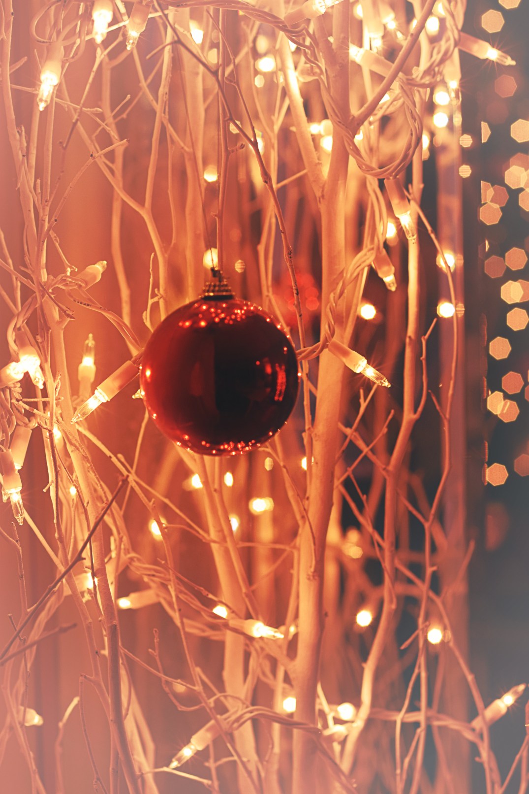 DSC_0013 snowman holly