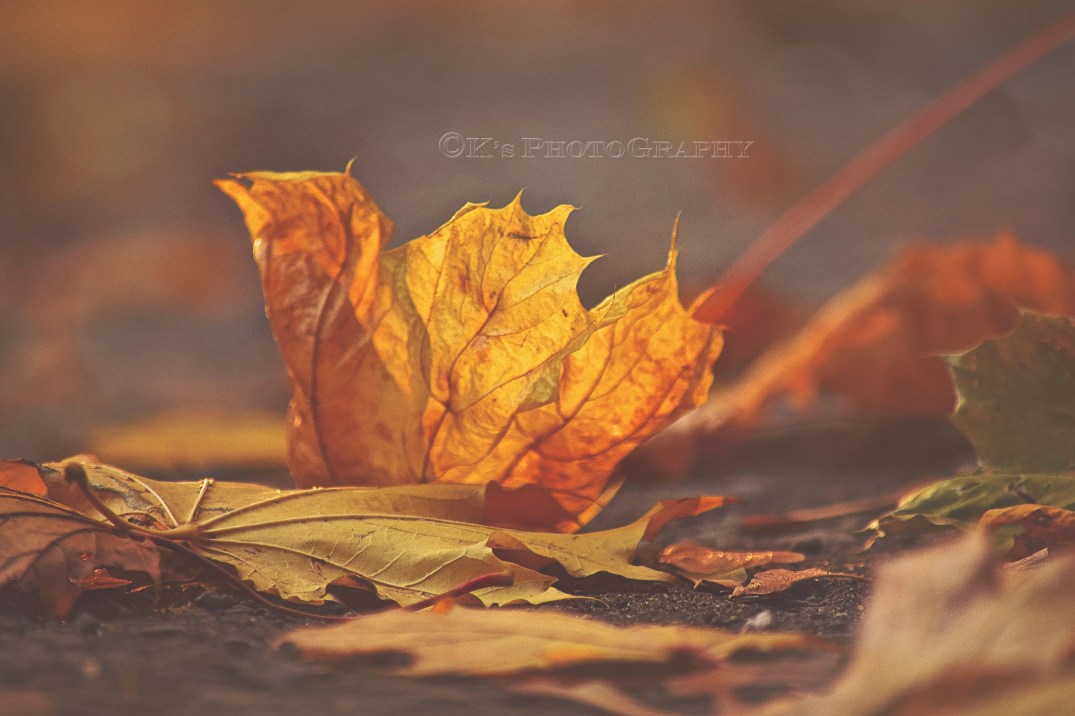 Little Thoughts For Big Days