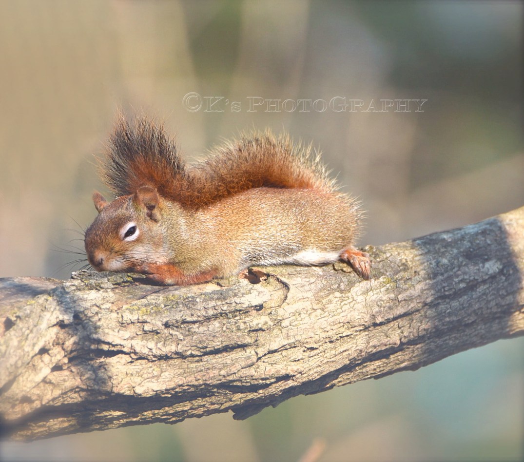 Little Thoughts For Big Days