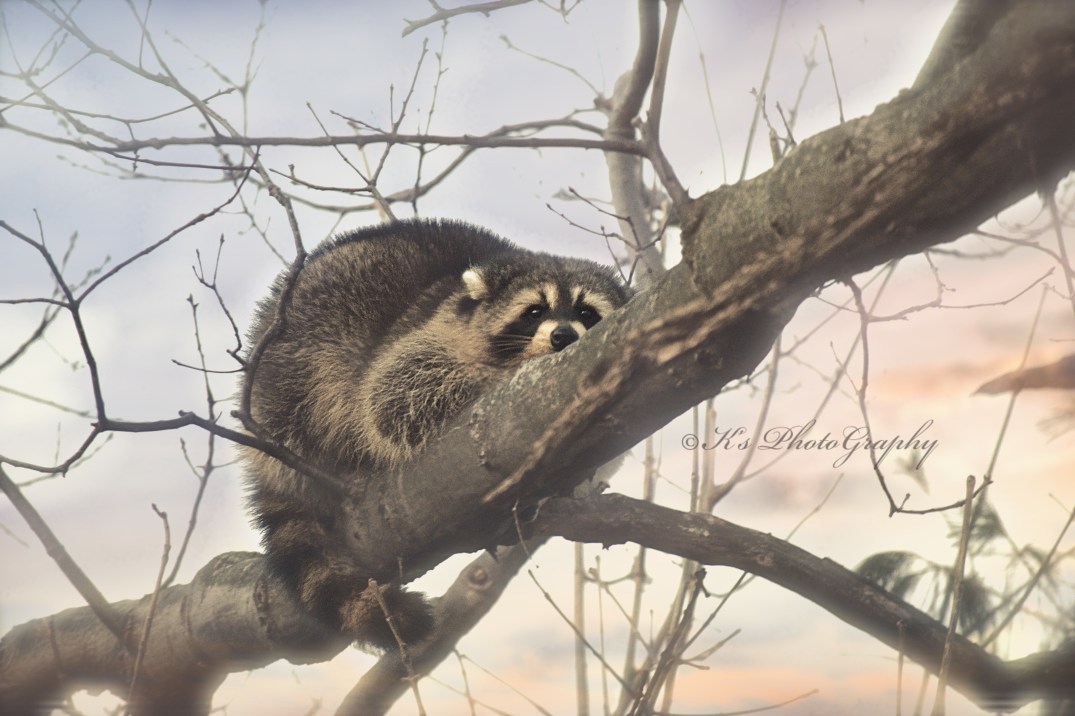 Little Thoughts For Big Days