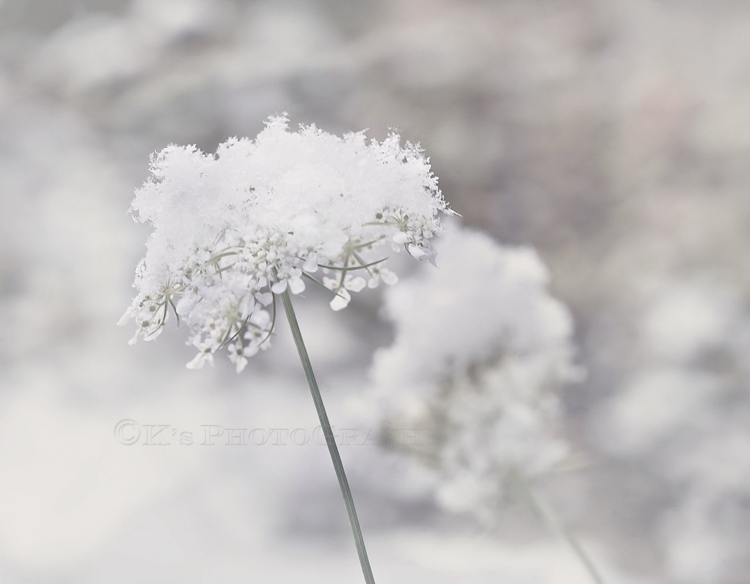 So faithful through all seasons of life.