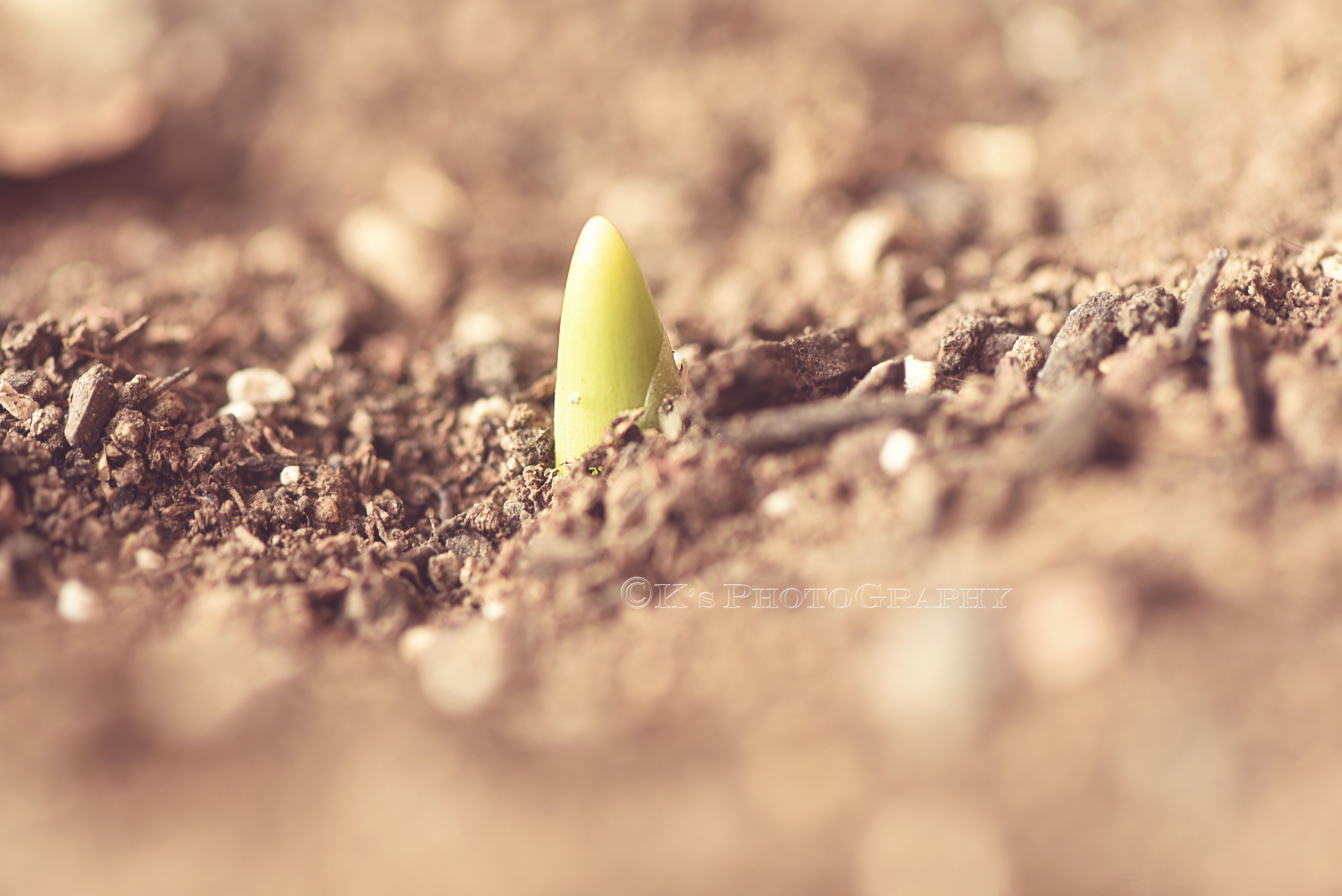 There is hope in every situation