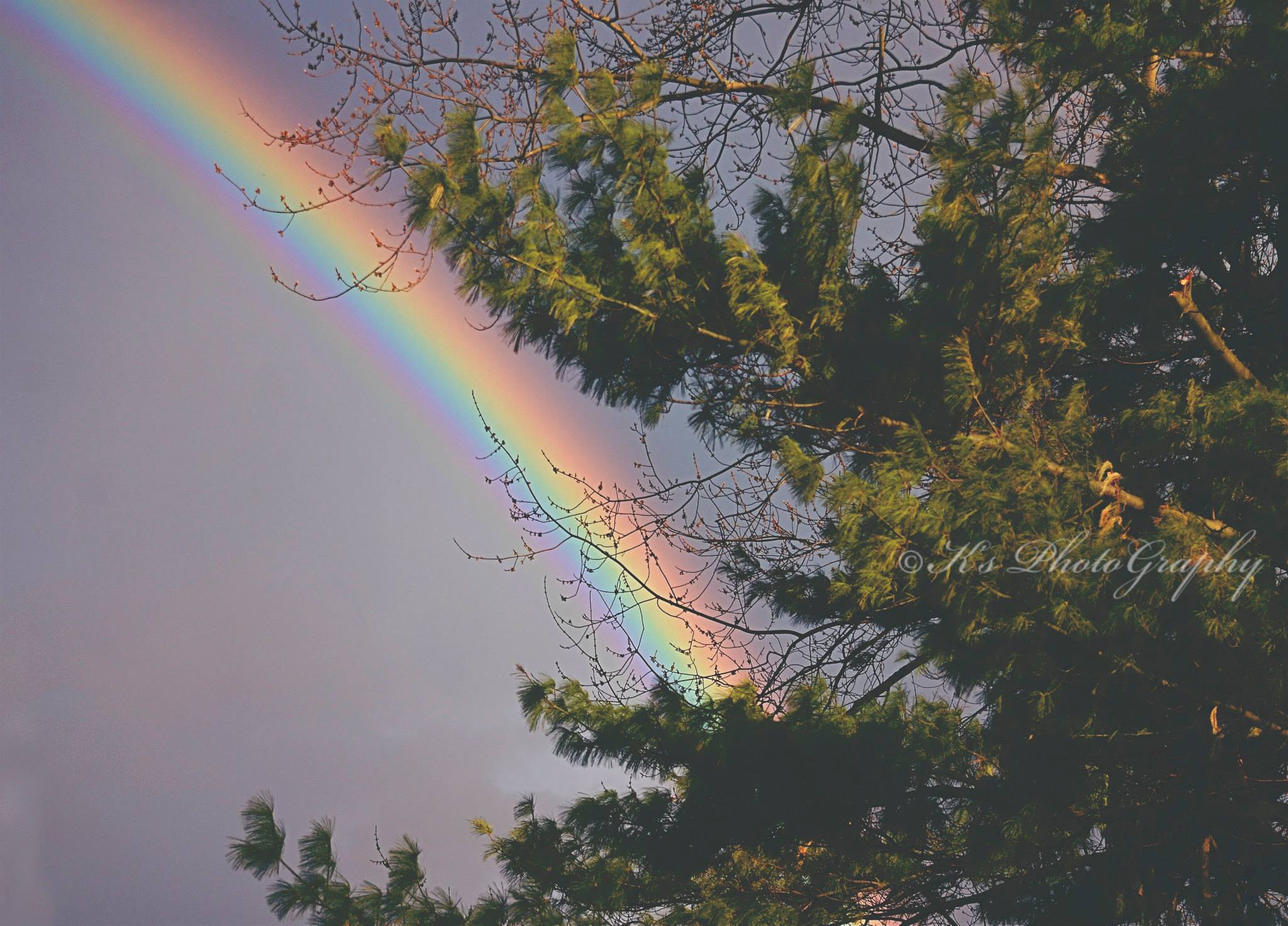 885891_10154139757230637_2142937986231966191_o