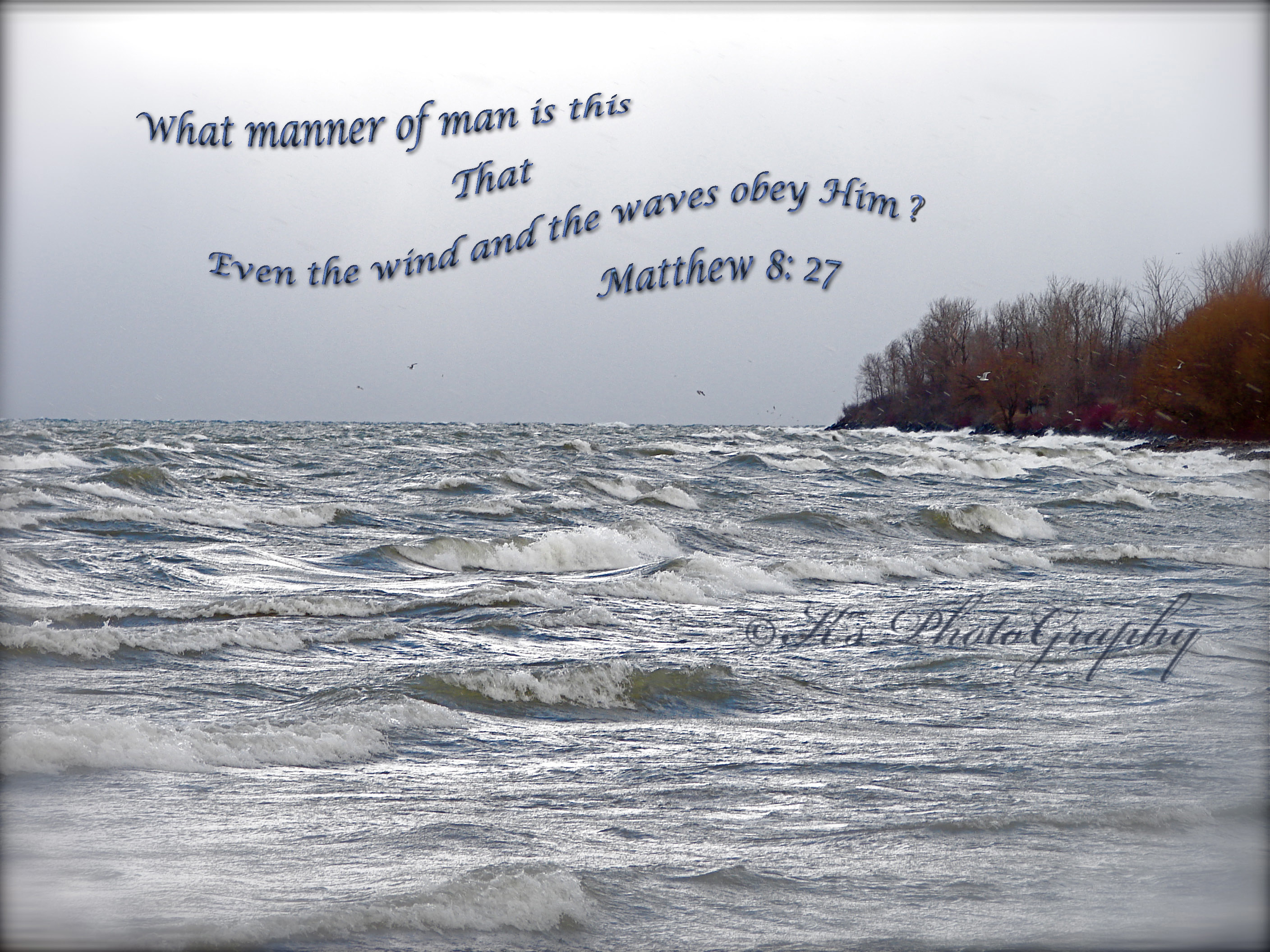 DSC00064 What manner of man Preview